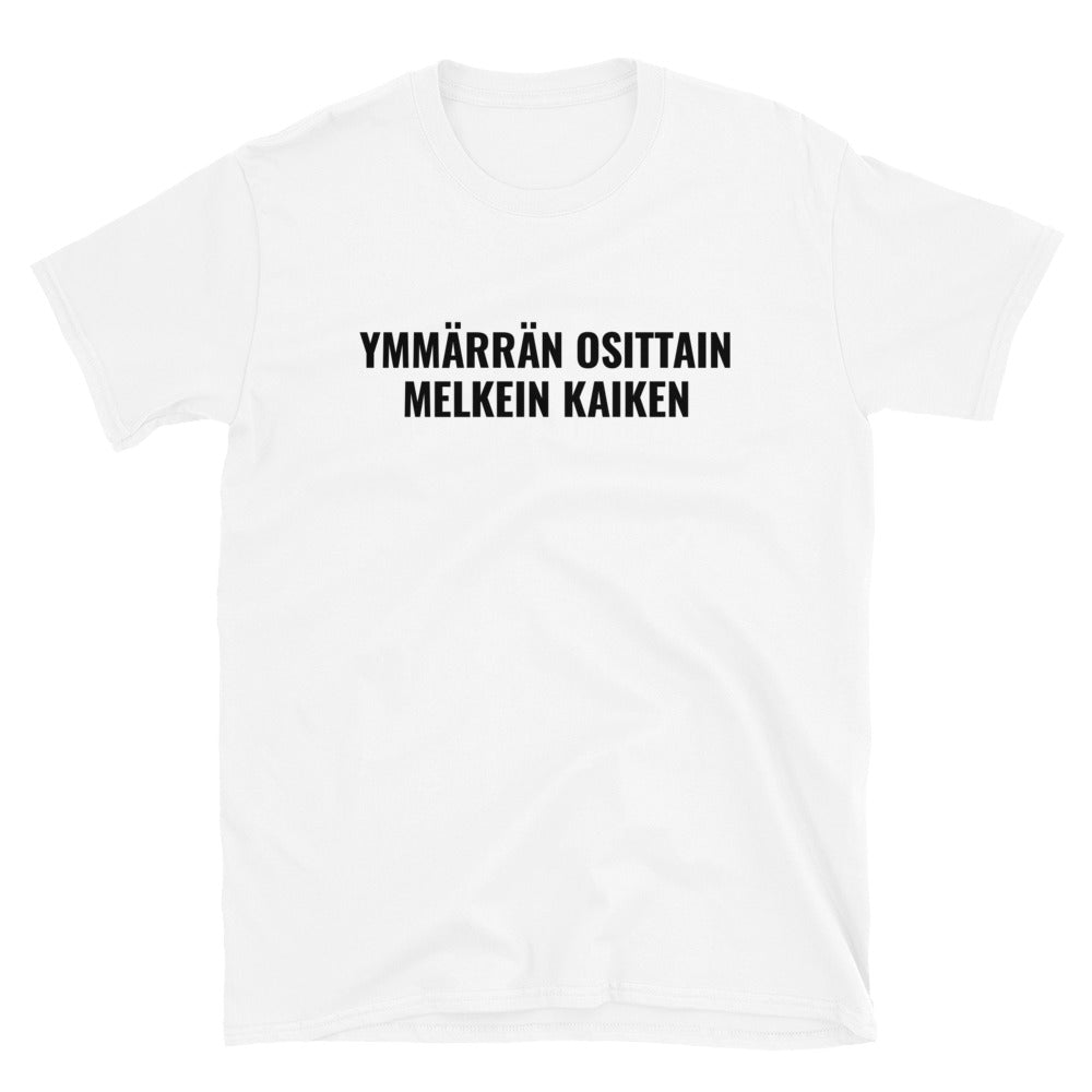 Ymmärrän osittain melkein kaiken t-paita