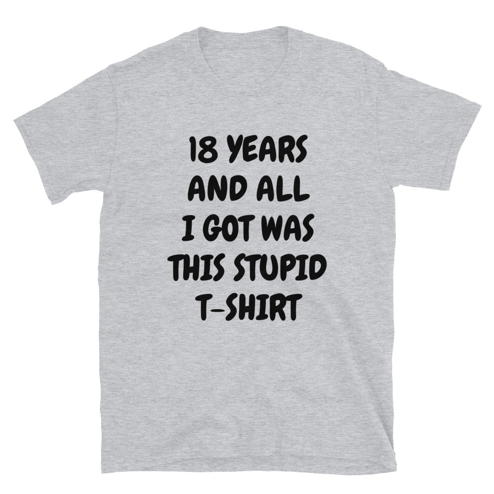 18 years and all I got t-paita