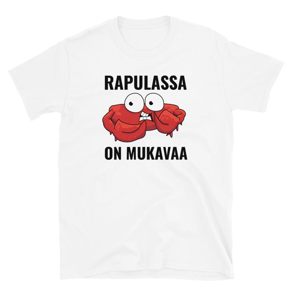 Rapulassa on mukavaa t-paita