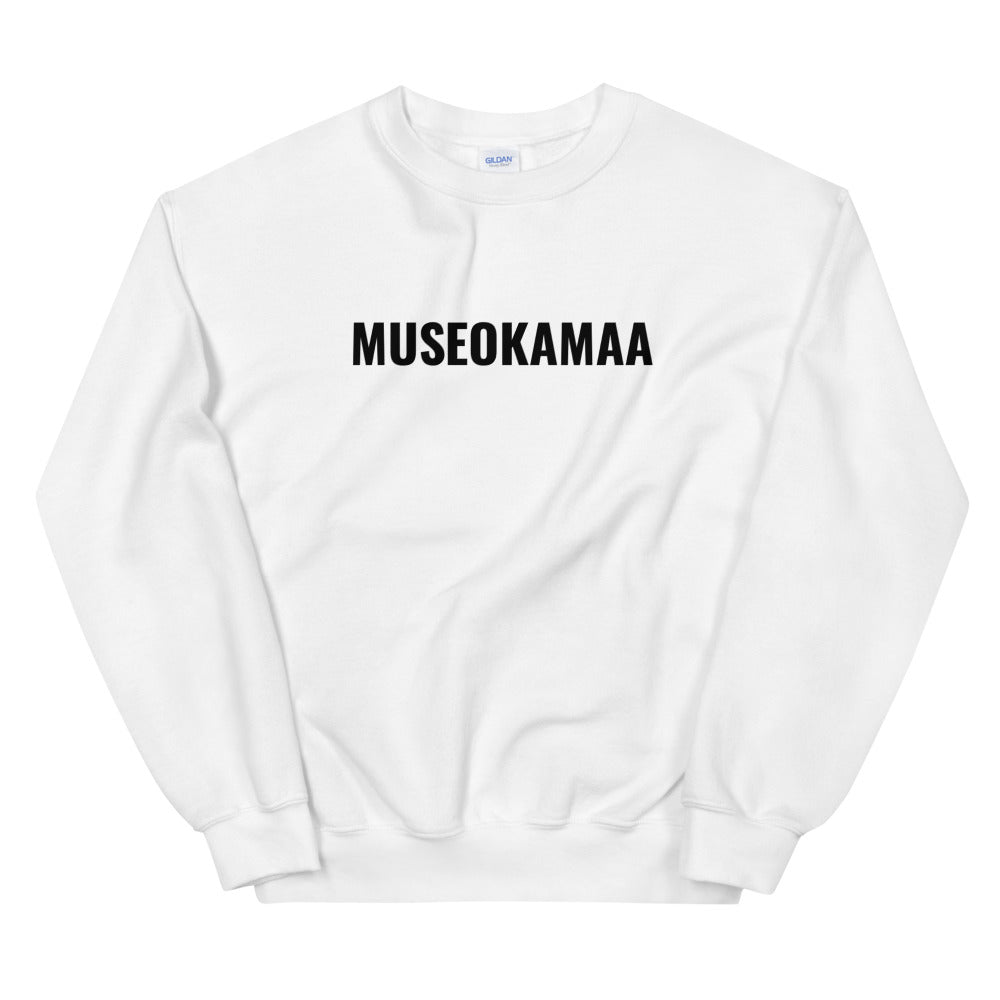 Museokamaa college